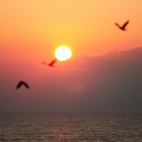 Sonnenuntergang über der Ostsee © Skiba