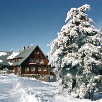 Winterlandschaft © Park Hotel KUR & SPA