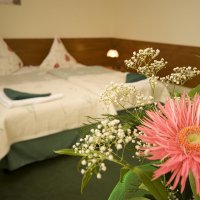 Zimmerbeispiel © Vestina