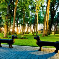 Hotelgarten © Borgata