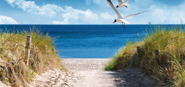 Weg zum Strand © DeVIce-fotolia.com